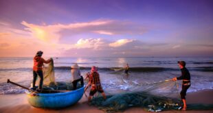 Teknologi Nelayan Modern: Meningkatkan Efisiensi dan Keberlanjutan